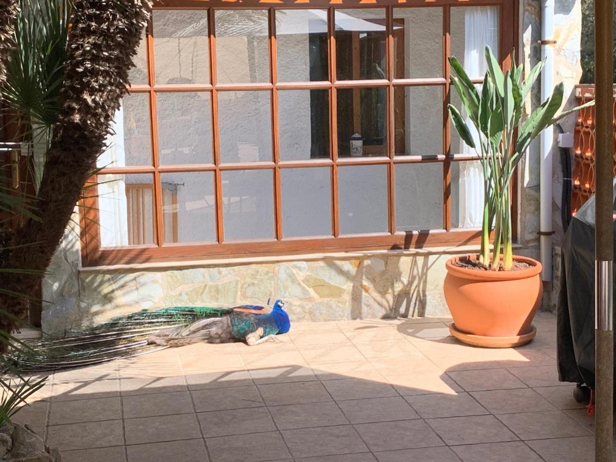 Casa Lisboa Villa Cala Mesquida  Luaran gambar
